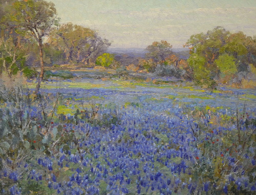 A Field of Blue Bonnets, Late Afternoon Sunlight